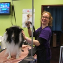 Dirty Dogs Spa and Boutique - Dog & Cat Grooming & Supplies
