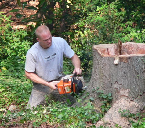 County  Tree Service