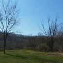 "Camp Cabin Creek"