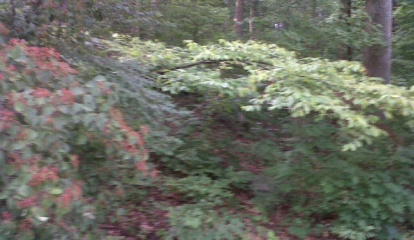 Brookside Nature Center - Wheaton, MD