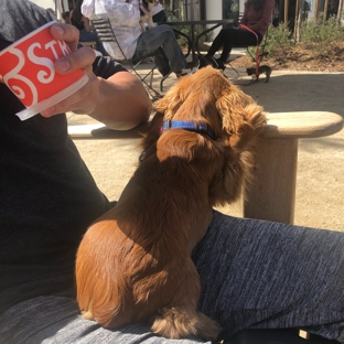 Salt & Straw - San Diego, CA