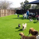 Arlington Turf Installers - Artificial Grass