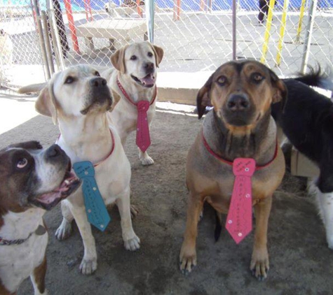 Markim Pet Resort - San Diego, CA