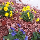 Sanchez Gardening Services - Landscaping & Lawn Services