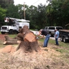 Wise Tree Service LLC gallery