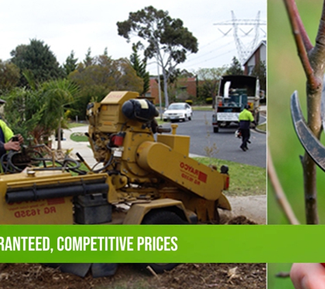 MSZ Tree Lopping Service. All Work Guaranteed, Competitive Prices