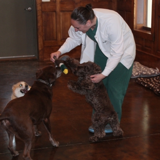 Bed & Biscuits Boarding and Grooming Facility - Alexandria, VA