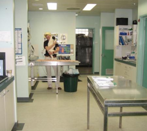 Kalgoorlie Veterinary Clinic - South Kalgoorlie, WA