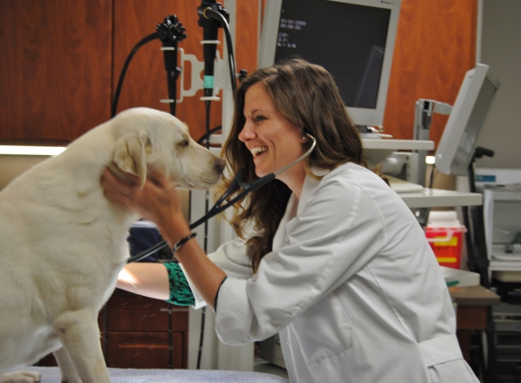 Veterinary Specialty and Emergency Center of Thousand Oaks - Thousand Oaks, CA