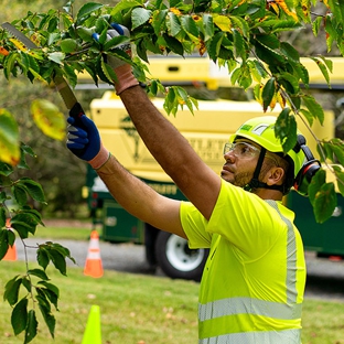 Bartlett Tree Experts - Knoxville, TN