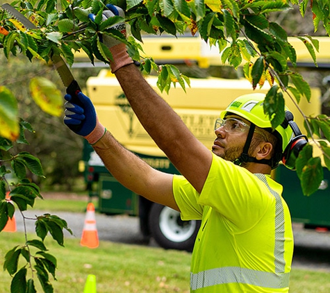 Bartlett Tree Experts - Stamford, CT - Stamford, CT