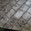 Artistic Stamped Concrete gallery