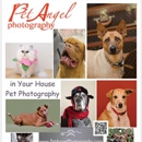 Pet Angel, LLC - Pet Specialty Services