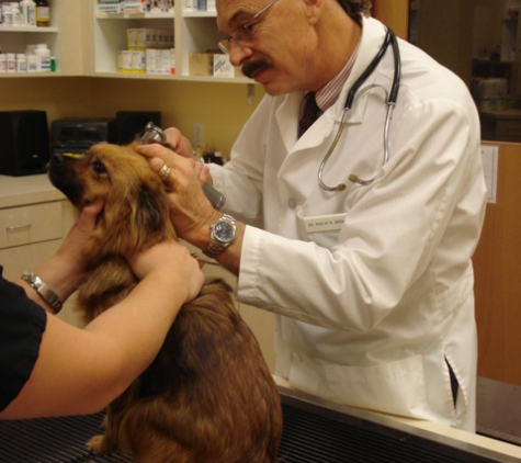 animal care center - Springfield, MO. Keeping our clinic pets healthy and happy!