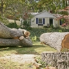 Hutson Tree Service gallery