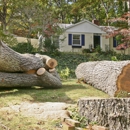 Hutson Tree Service - Tree Service