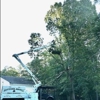 Bottoms Bridge Tree Service inc gallery