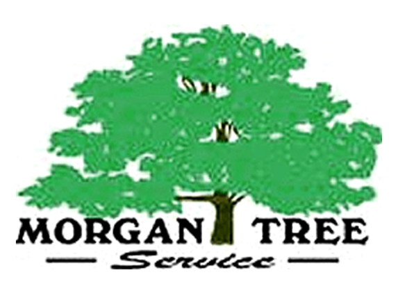 Morgan  Tree Service - Oroville, CA