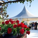 Jackson Tent Rentals - Tents-Rental