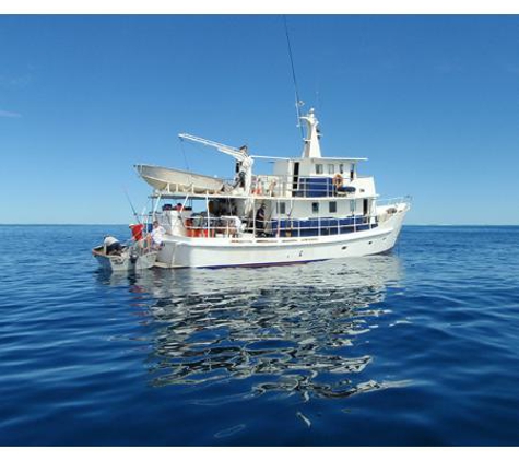 Australiana Charters - Lake Mary, QLD