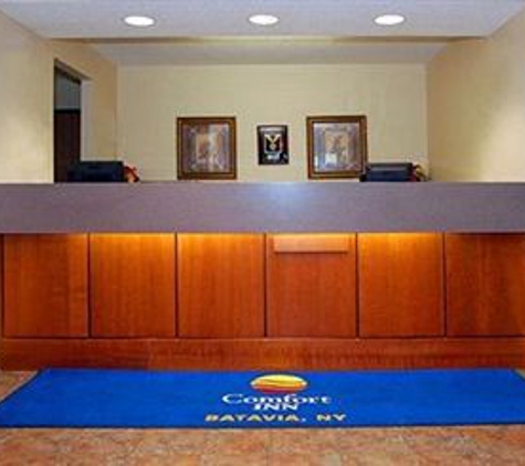 Comfort Inn - Batavia, NY