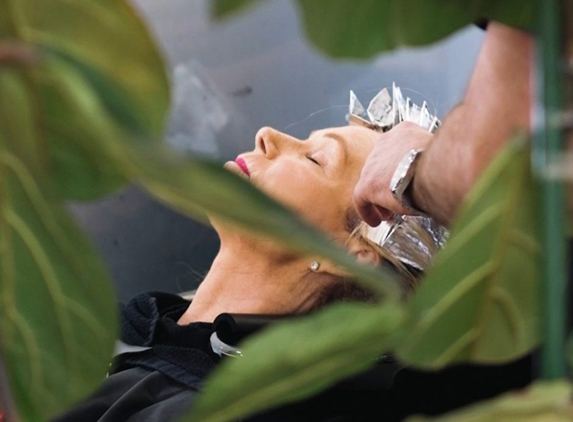 Clip Joint Salons - North Adelaide, SA