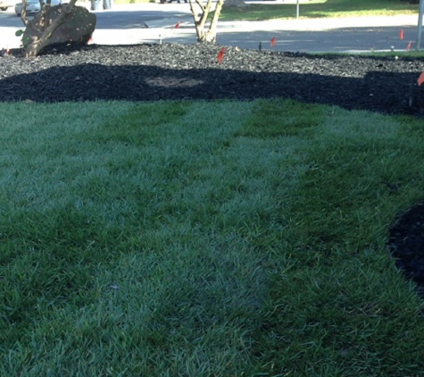 Lawn Enforcement Modesto - Modesto, CA. Lawn Order