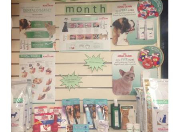 Reynella Veterinary Clinic - Morphett Vale, SA