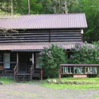 Tall Pine Cabin