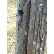 Gallery Image Number 7