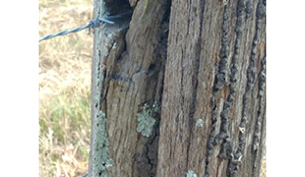 Boonah - Beaudesert Termite Specialist - Beaudesert, QLD. Completion of Termite treatment