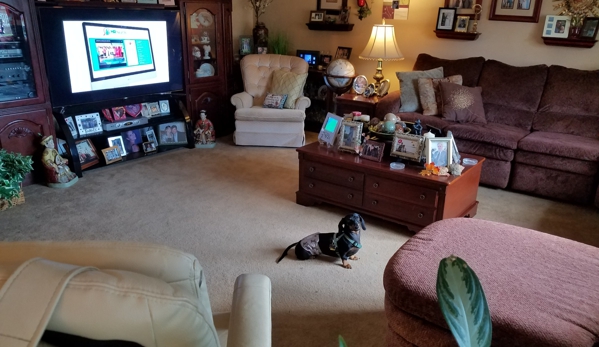 patty's pet sitting  services - Portsmouth, VA