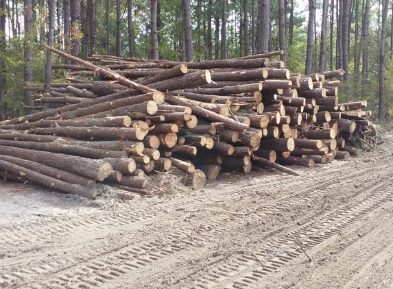 Woodmen Timber Company, LLC