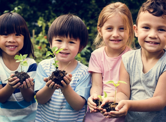 The Discovery Garden Early Education, Care and Preschool - Floraville, NSW