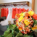 Otto's Oasis - Flowers, Plants & Trees-Silk, Dried, Etc.-Retail