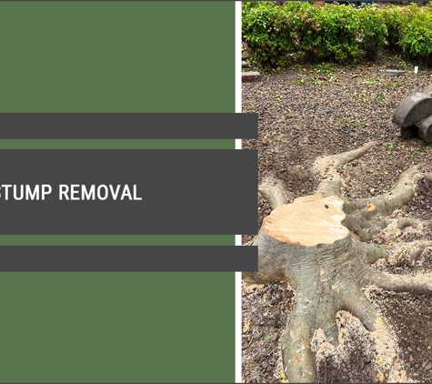Central Coast Tree Removal - Kanwal, NSW. Safe Tree Stump Removal