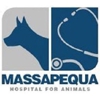 Massapequa Hospital for Animals gallery