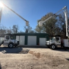 Tree Tech-Tree Service gallery