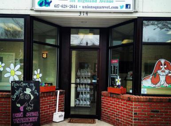 Union Square Veterinary Clinic - Somerville, MA