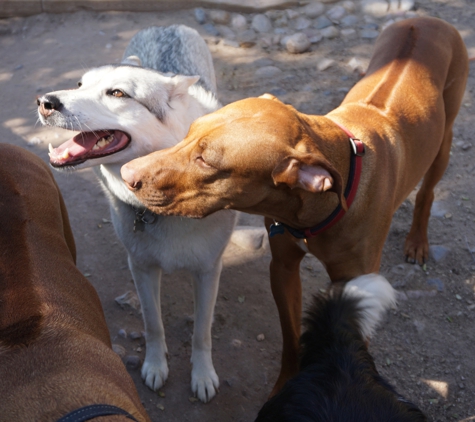 Topanga Pet Resort - Topanga, CA