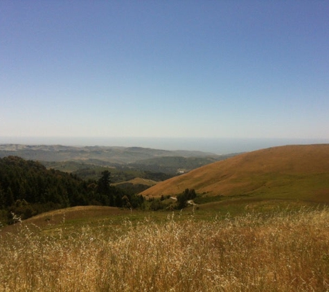 Djerassi Resident Artists Program - Redwood City, CA