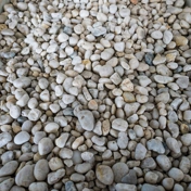 Gallery Image Number 5