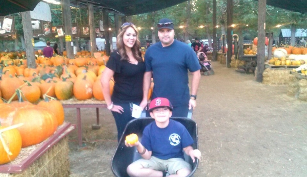 Live Oak Canyon Christmas Tree Farm & Pumpkin Patch - Redlands, CA