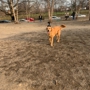 Fort Barnard Dog Park