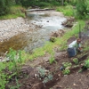 Watershed Restoration Group Inc. gallery