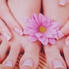 Venus Nails & Spa gallery