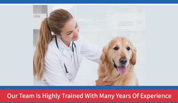 Kempsey Veterinary Clinic - Kempsey, NSW. Our Team Is Highly Trained With Many Years Of Experience