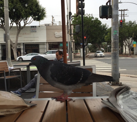 The Coffee Bean & Tea Leaf - Santa Monica, CA