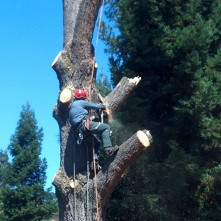 Advance Tree Service Inc - Walnut Creek, CA