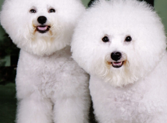 Dany’s Grooming - Pet Stylist - Montgomery Village, MD